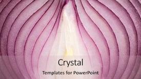  Presentation with onion - Cool new PPT layouts with ripe onion macro backdrop and a soft green colored foreground