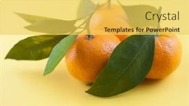  Presentation with orange fruit - Audience pleasing slide set consisting of ripe-orange-fruit-on-yellow backdrop and a yellow colored foreground