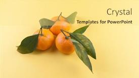  Presentation with orange fruit - Cool new PPT layouts with ripe-orange-fruit-on-yellow backdrop and a yellow colored foreground