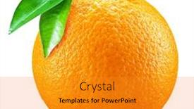  Presentation with fruit tree - Slide set with ripe-orange-fruit-with-orange background and a gold colored foreground