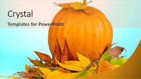  Presentation with autumn blue - Presentation theme with ripe orange pumpkin with yellow autumn leaves on blue background background and a gold colored foreground