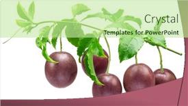  Presentation with passion - Theme consisting of ripe-passion-fruits-on-maracuya background and a  colored foreground