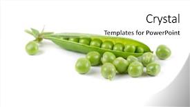  Presentation with green pea plant - Slide deck consisting of ripe pea vegetable with green background and a white colored foreground
