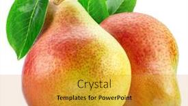  Presentation with green leaf - PPT theme consisting of ripe-pears-with-green-leaf background and a gold colored foreground