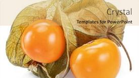  Presentation with golden berry - Presentation design having ripe-physalis-or-golden-berry background and a yellow colored foreground