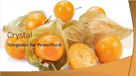  Presentation with golden berry - PPT theme having ripe-physalis-or-golden-berry background and a gold colored foreground