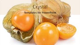  Presentation with golden berry - PPT theme with ripe-physalis-or-golden-berry background and a yellow colored foreground
