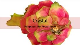  Presentation with pitahaya - Cool new PPT layouts with ripe pitahaya isolated on white backdrop and a red colored foreground