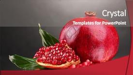  Presentation with pomegranate fruit - Audience pleasing theme consisting of ripe pomegranate fruit on gray background backdrop and a gray colored foreground