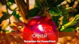  Presentation with pomegranate - Colorful PPT theme enhanced with ripe-pomegranate-fruits-organic-cultivation backdrop and a crimson colored foreground