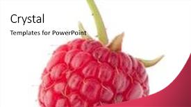  Presentation with background - PPT layouts with vitamin red berry fruit - ripe raspberries isolated on white background and a white colored foreground