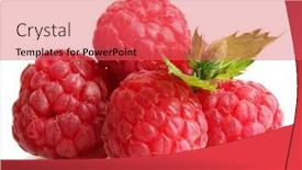  Presentation with mint - Colorful slide set enhanced with ripe-raspberries-with-mint-isolated backdrop and a red colored foreground