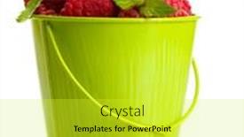  Presentation with mint - Audience pleasing slide deck consisting of ripe-raspberries-with-mint backdrop and a yellow colored foreground