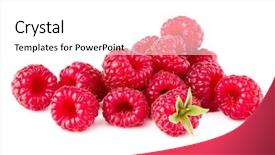  Presentation with ripe golden potato on white - Amazing presentation theme having ripe raspberry raspberries isolated backdrop and a white colored foreground