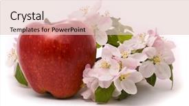 Presentation with red apple tree - Cool new presentation with ripe red apple and apple-tree blossoms on a white background backdrop and a lemonade colored foreground