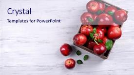  Presentation with barn wood autumn apples - Colorful theme enhanced with ripe red apples in crate backdrop and a sky blue colored foreground