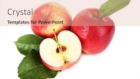 Presentation with red - Colorful slides enhanced with ripe-red-apples-isolated backdrop and a  colored foreground