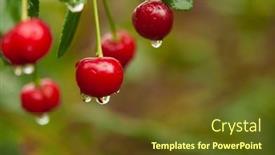  Presentation with food red - PPT layouts with ripe-red-cherries background and a tawny brown colored foreground