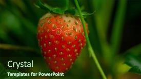  Presentation with vertical farm - Beautiful presentation design featuring ripe-red-strawberry-covered backdrop and a tawny brown colored foreground