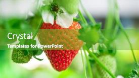  Presentation with berries - Slide deck featuring ripe-red-strawberry-surrounded background and a shamrock green colored foreground