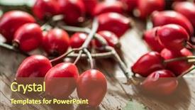  Presentation with rose hips - Presentation design having ripe rose-hips or wild background and a tawny brown colored foreground