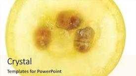  Presentation with grape - Cool new presentation design with ripe slice of grape isolated on white backdrop and a yellow colored foreground