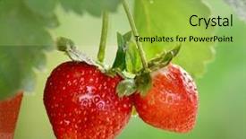  Presentation with strawberry - Presentation design with ripe strawberry background and a yellow colored foreground