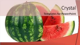  Presentation with black and white film strip - Audience pleasing PPT layouts consisting of ripe striped watermelon isolated backdrop and a coral colored foreground