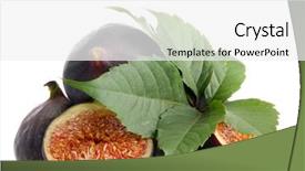  Presentation with sweet - Presentation theme having ripe sweet figs with leaves background and a  colored foreground