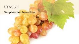  Presentation with grape - PPT theme featuring waterfall sant esperit panorama background and a light gray colored foreground