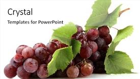  Presentation with grape - Audience pleasing presentation consisting of ripe sweet grapes isolated backdrop and a white colored foreground
