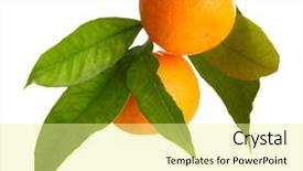  Presentation with isolated fall oak leaf - Presentation design featuring ripe sweet tangerines with leaves background and a blonde colored foreground
