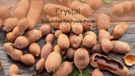  Presentation with tamarind fruit - Presentation enhanced with ripe-tamarind-fruit-leaves background and a coral colored foreground