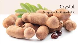  Presentation with tamarind fruit - Slides consisting of ripe-tamarind-fruit-leaves background and a coral colored foreground