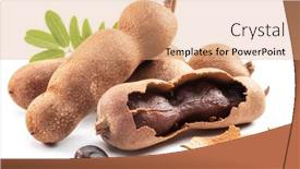  Presentation with tamarind fruit - PPT layouts having ripe-tamarind-fruit-leaves background and a coral colored foreground