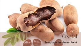  Presentation with tamarind fruit - PPT theme enhanced with ripe-tamarind-fruit-leaves background and a coral colored foreground