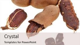  Presentation with tamarind fruit - Audience pleasing presentation theme consisting of ripe tamarind fruit open pods close up isolate on white background backdrop and a soft green colored foreground