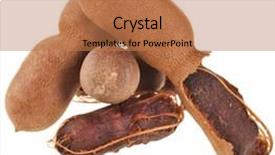  Presentation with tamarind fruit - Colorful PPT theme enhanced with ripe tamarind fruit open pods backdrop and a coral colored foreground