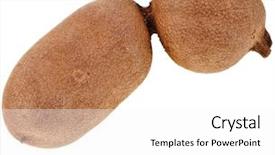  Presentation with tamarind fruit - PPT theme featuring ripe tamarind fruit whole pods close up isolate on white background background and a white colored foreground