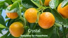  Presentation with fruits - Beautiful slide set featuring ripe tangerine fruits backdrop and a tawny brown colored foreground