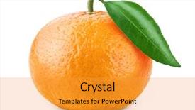  Presentation with citrus - Beautiful PPT theme featuring ripe tangerine with leaves citrus backdrop and a gold colored foreground
