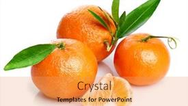  Presentation with green life - PPT theme having ripe-tangerines-with-green-leaf background and a yellow colored foreground