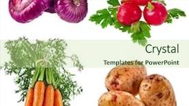  Presentation with vegetables - Slides consisting of ripe vegetables close up sign background and a mint green colored foreground