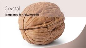  Presentation with walnut - Presentation theme featuring ripe-walnut-isolated-on-white background and a soft green colored foreground