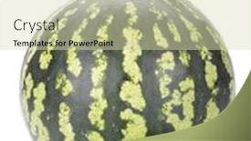  Presentation with ripe golden potato on white - Presentation design having ripe-watermelon-isolated-on-white background and a soft green colored foreground