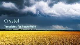  Presentation with wheat - Presentation enhanced with ripe-wheat-spikelets-on-golden background and a ocean colored foreground