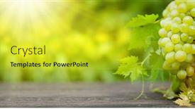  Presentation with table grape - Audience pleasing PPT layouts consisting of ripe-white-grape-on-wooden backdrop and a yellow colored foreground