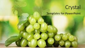  Presentation with white green - Slides having ripe white grapes on green background and a yellow colored foreground