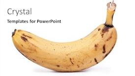  Presentation with fruit banana - Presentation theme having ripe-yellow-banana-fruit-one background and a white colored foreground
