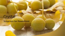  Presentation with ginkgo - Beautiful slide deck featuring ripe yellow ginkgo biloba fruit backdrop and a gold colored foreground